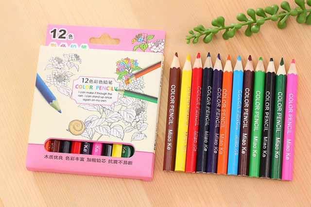 Boxed 24 Color Pencils Set Kawaii